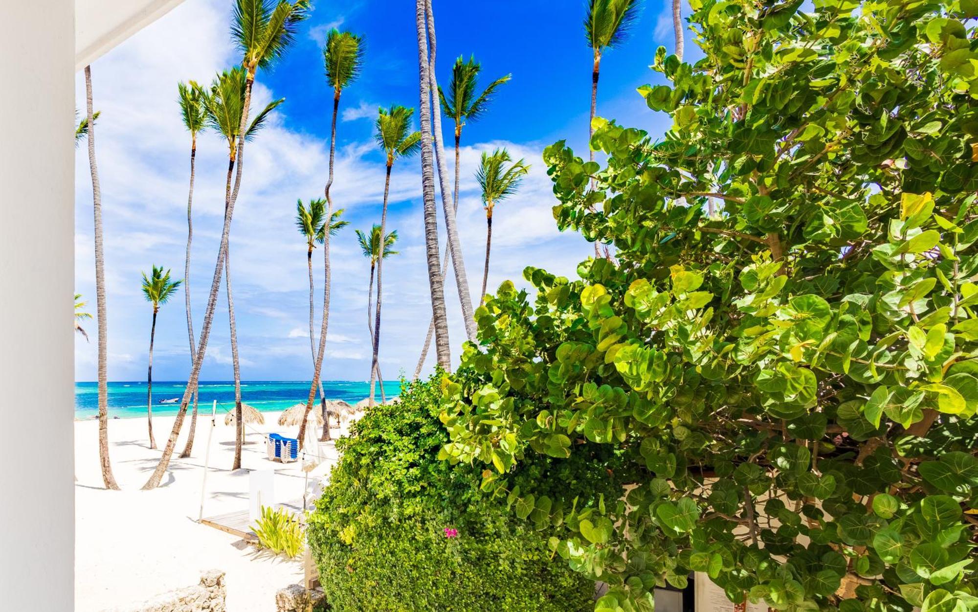Prime Ocean View Punta Cana Apartments - 3-Bedroom Getaway With Private Terrace On Bavaro Beach Εξωτερικό φωτογραφία