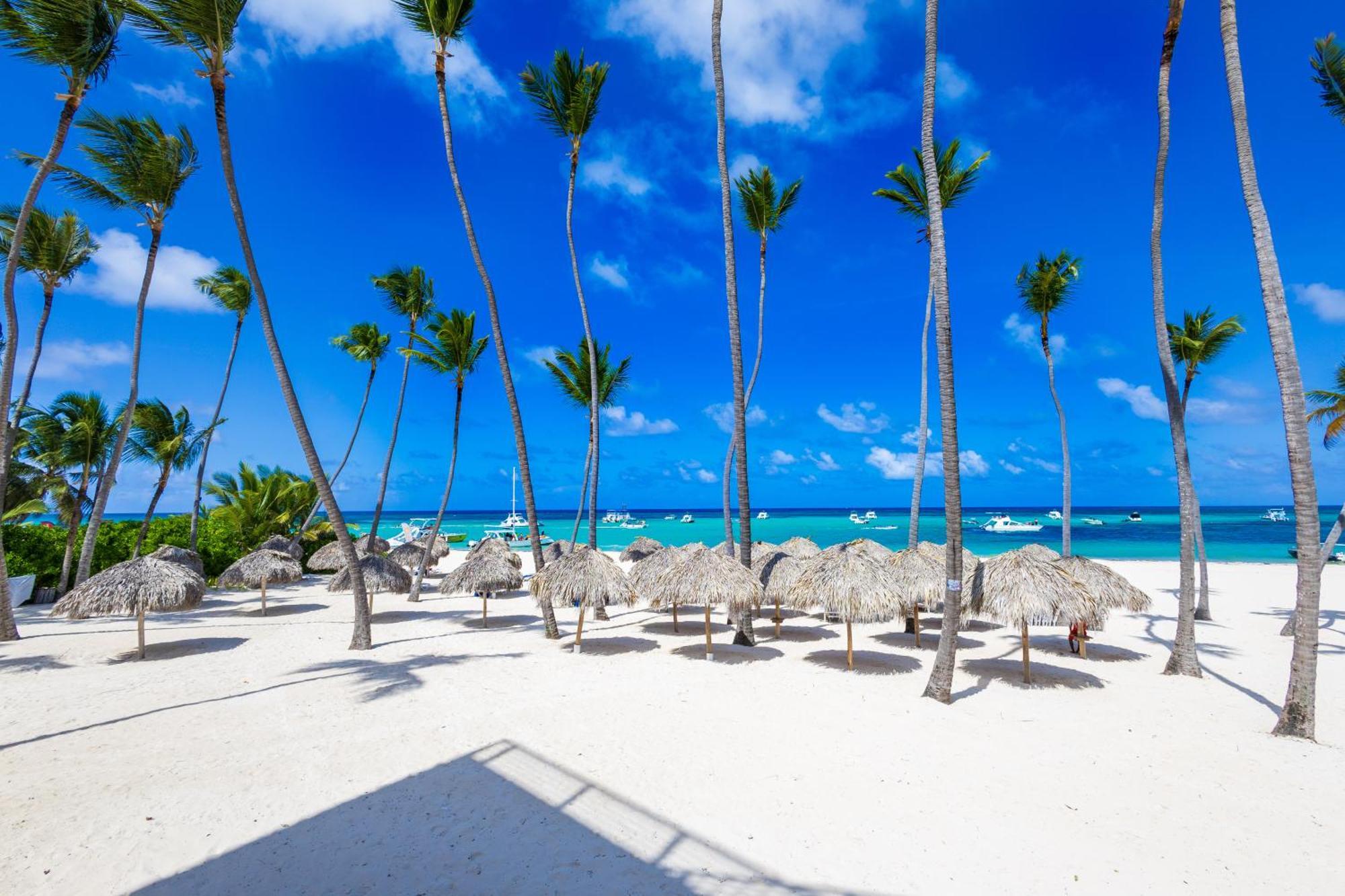 Prime Ocean View Punta Cana Apartments - 3-Bedroom Getaway With Private Terrace On Bavaro Beach Εξωτερικό φωτογραφία