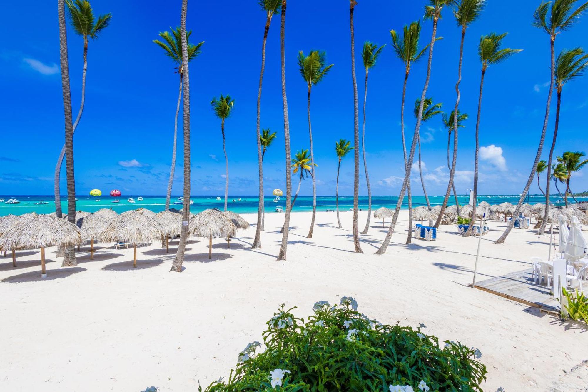 Prime Ocean View Punta Cana Apartments - 3-Bedroom Getaway With Private Terrace On Bavaro Beach Εξωτερικό φωτογραφία